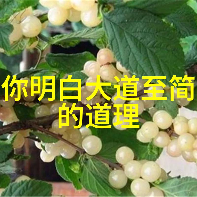 菩萨之战四大神尊谁是第一位