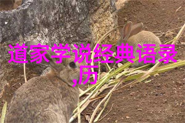 灵气涌动之仙境幻变