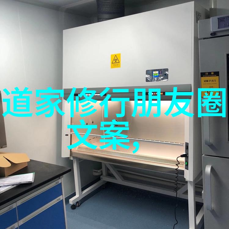 无为而治探索无为之道与成就的秘诀