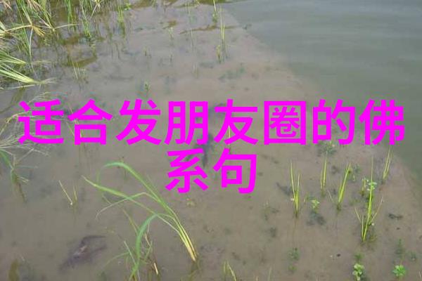 老子无为而无不为的智慧揭秘不言之教的深意
