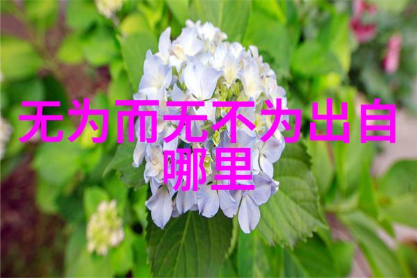 揭秘大道至简精髓与应用
