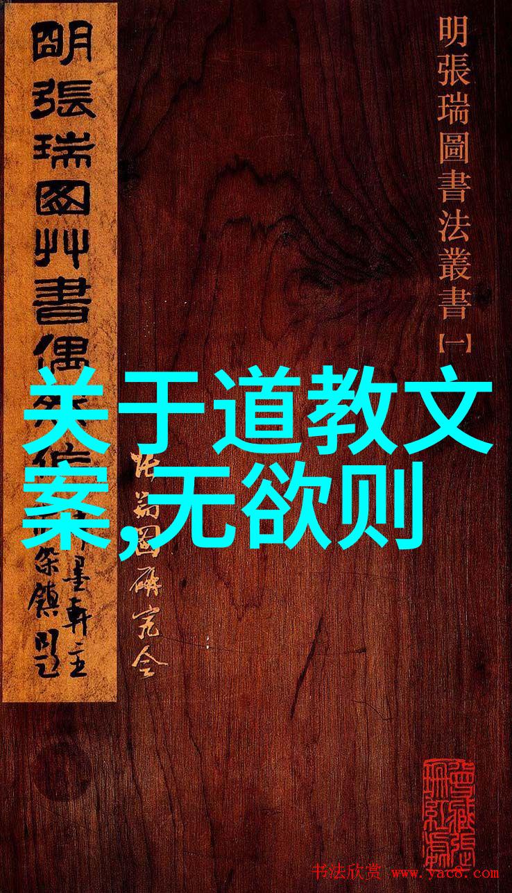 重重防线揭秘那些不许拿出来的秘密