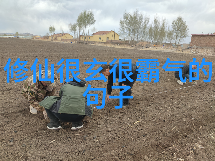 空谷足音追溯并领悟中国文化中空字背后的深意与智慧