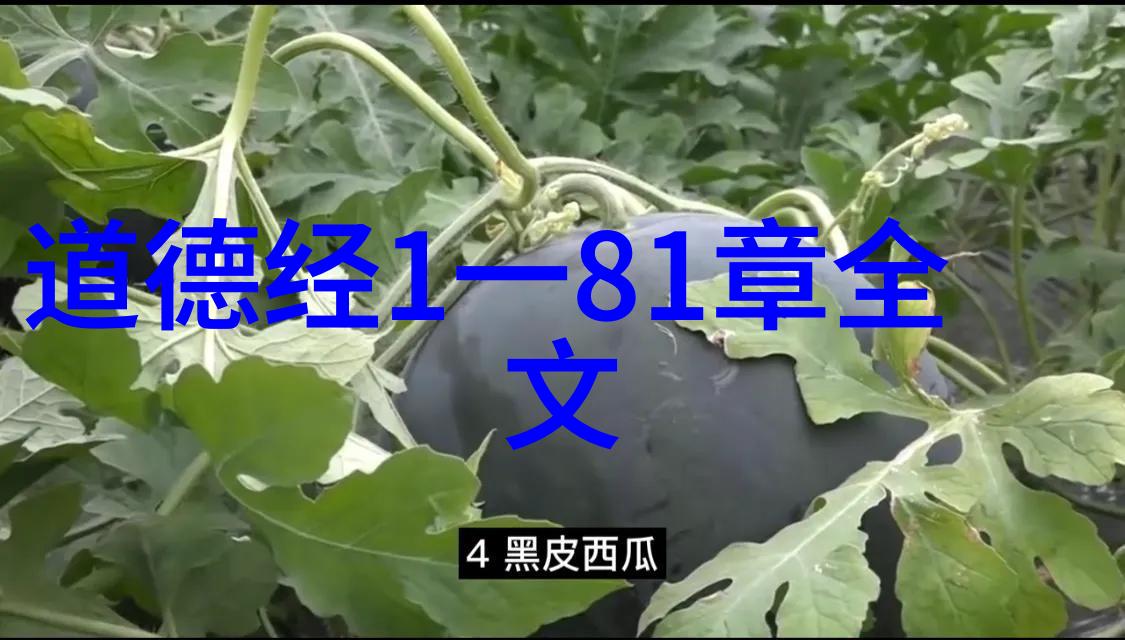 大道至简在艺术创作中的表达方式与意义分析