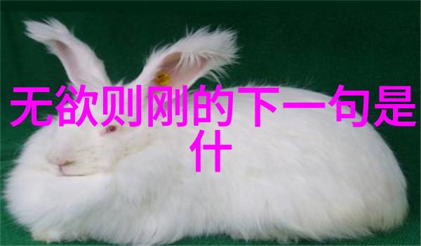 道书秘录寻找失落的真经