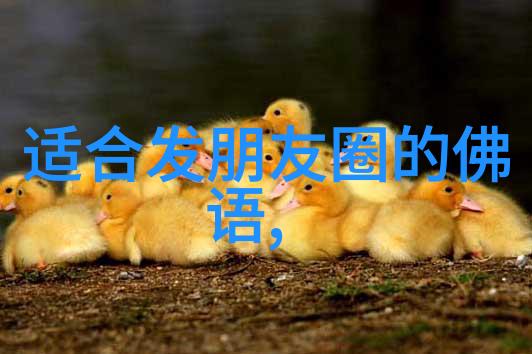 道教神仙我要告诉你一个超级神奇的秘密如何成为道教中的神仙