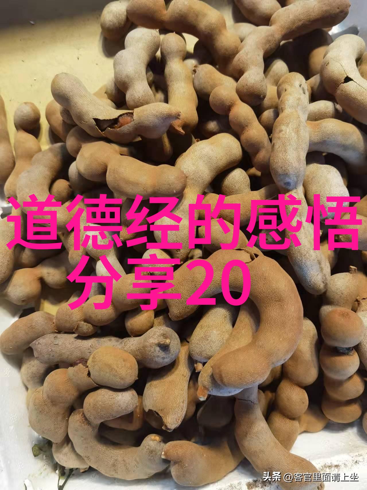 道法自然探索中国古老智慧的奥秘与魅力