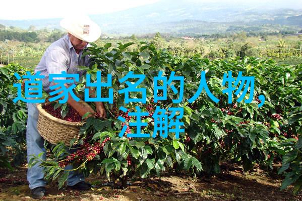 道德规范与法律法规的共鸣之处在于何