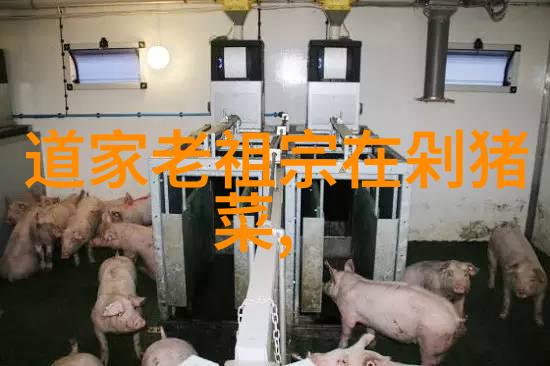 古代智慧的传人道家的哲学探索者