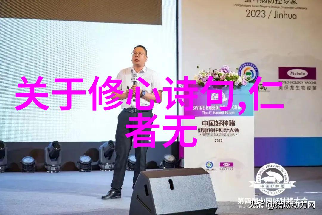 道家一句禅语大全 - 灵动智慧探索一言以蔽之道德至理