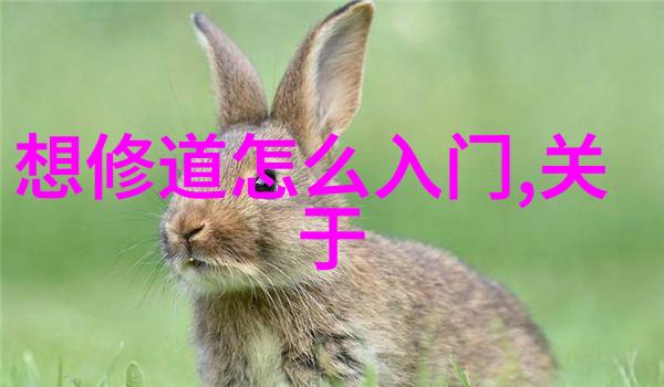 客家人的热情好客与他们可能的白种人血统探究人物篇