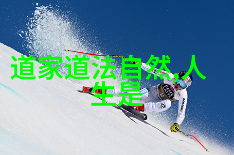 3. 什么是道家的核心理念以及这些理念是如何被后人继承和发展的