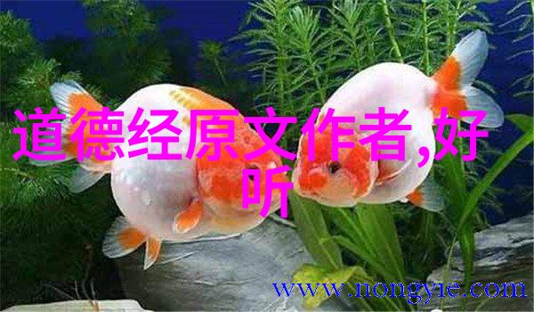 无为则无所不为的哲学深度解读探索道家文化中的无为之理