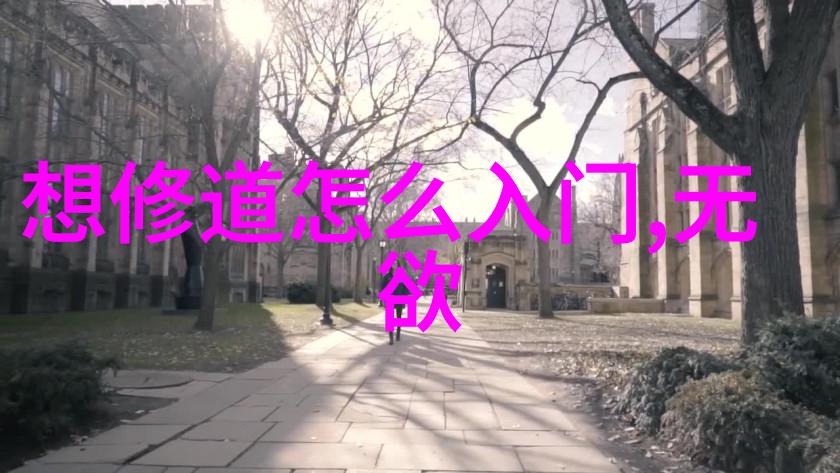探索新道家智慧梁启超与中国哲学的现代转型
