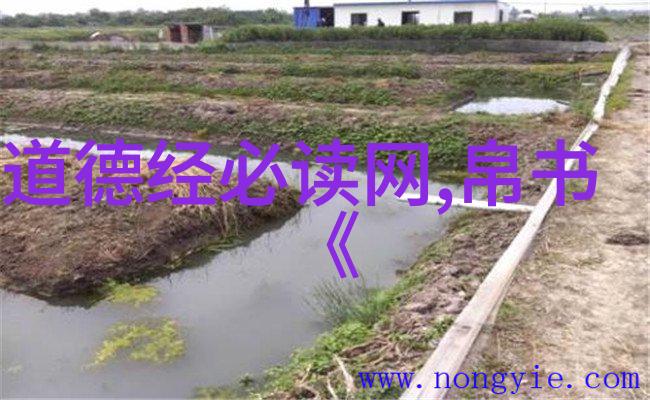道德小子从课本到现实的奇妙旅程