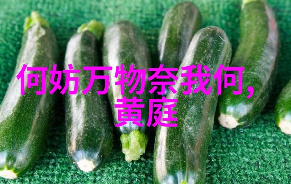 道家经典探秘-天人合一道家的智慧与自然之谜