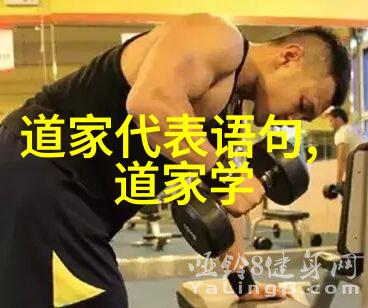 人生若只如初见回忆与向往的交织