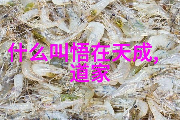 从慌乱到清晰常应常静的修行法则及其实践方法