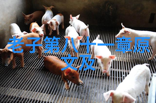 书法艺术欣赏论文 - 墨迹之间解读中国书法艺术的深层魅力