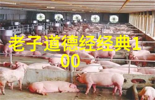 德道经精髓德行与道理的深入探究
