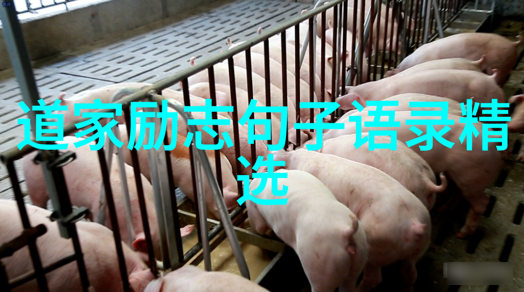 道家代表人物的辉煌传承