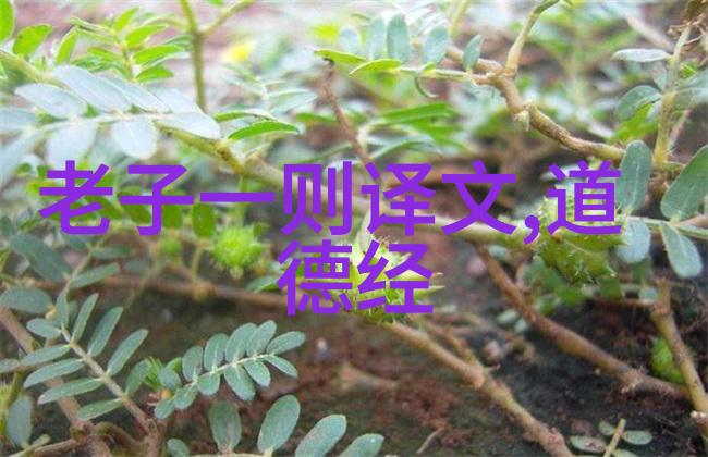如何开始修道生活的探索之路