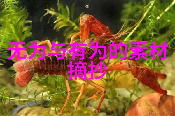 道家呼吸吐纳法(完整版)-六息六合深入解析道家呼吸吐纳法的艺术与科学