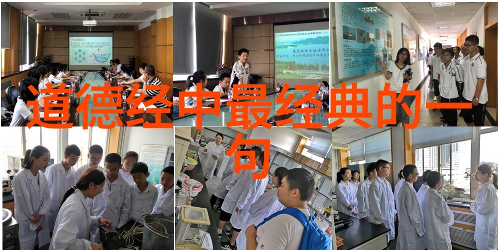 如何在面对困难时做出正确的选择为还是不为