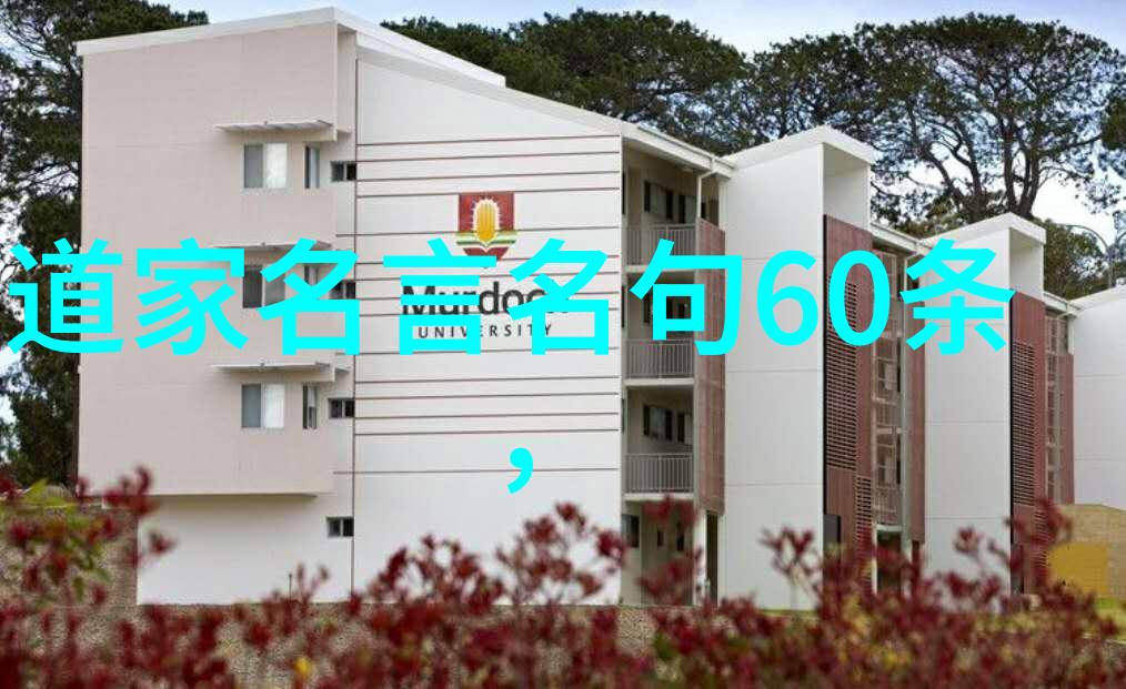 道家的高手他们对抗外敌时有何智慧