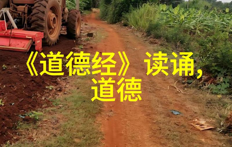 道家哲学的实践者一个追寻内心平静的人物故事