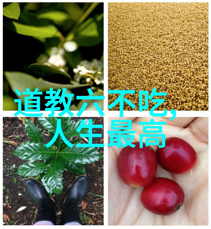 道家学派的思想探究天人合一与无为而治