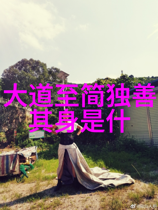 欠C的代价揭开你是不是欠C很久了视频背后的秘密