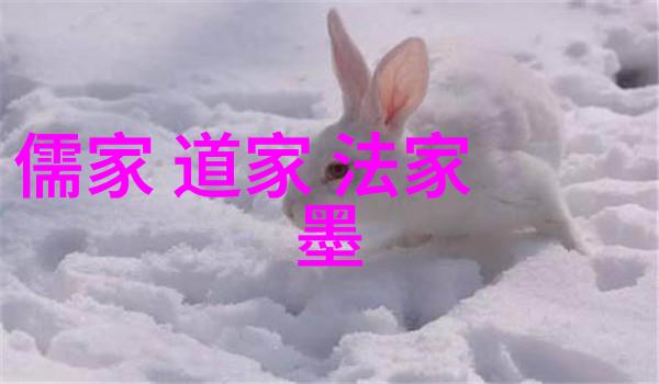 道家文化代表人物老子庄子张良黄石公