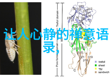 从金刚般若波罗蜜多心地观察智慧论到密宗探索太上之谜