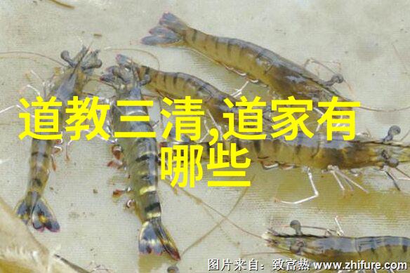 道法自然大道至简在教育中的意义