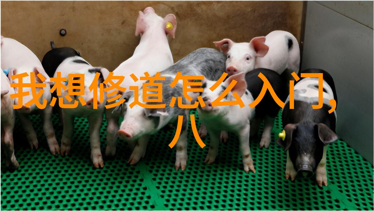 修身修心修行铸就内在之美
