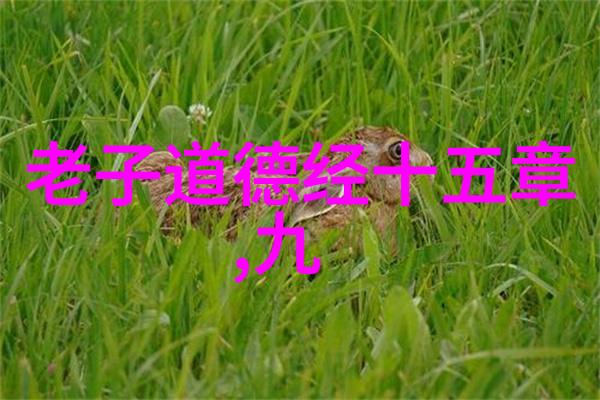 女人说大道至简是什么意思她的话语如同一把钥匙开启了我对生活哲学的新理解
