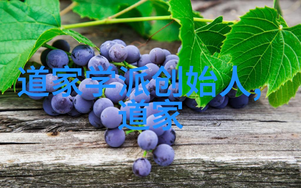 色彩艺术-绚丽多彩的世界探索色wyt在艺术中的应用与魅力