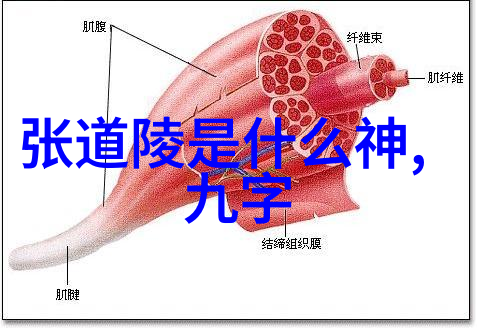 客家人有没有什么传统节日能让火龙也来跳舞