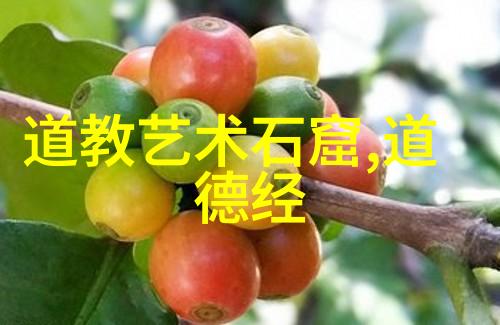道术奇缘从俗世尘嚣到山林清风的逆袭之旅
