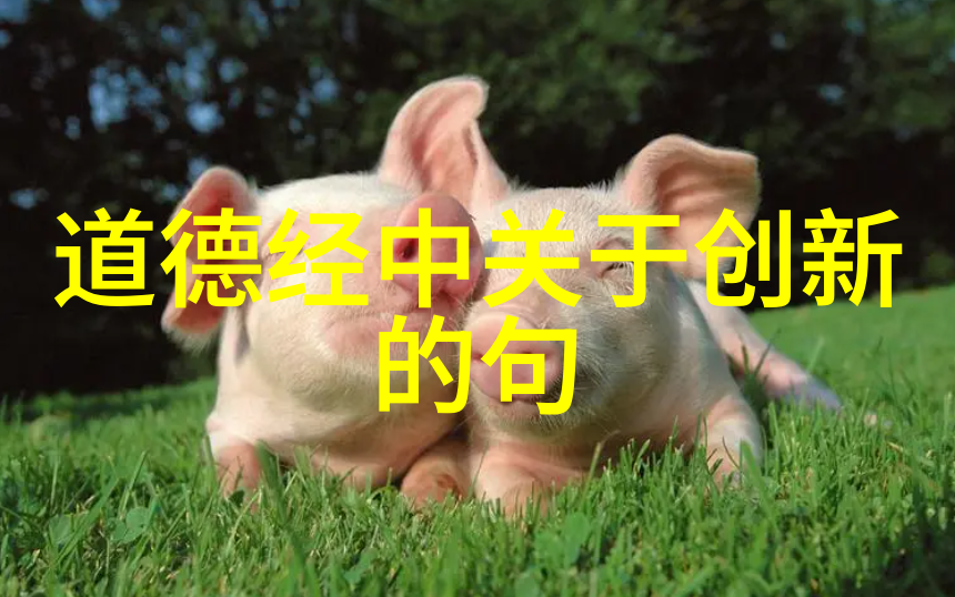 修道人之爱岂能远离尘世
