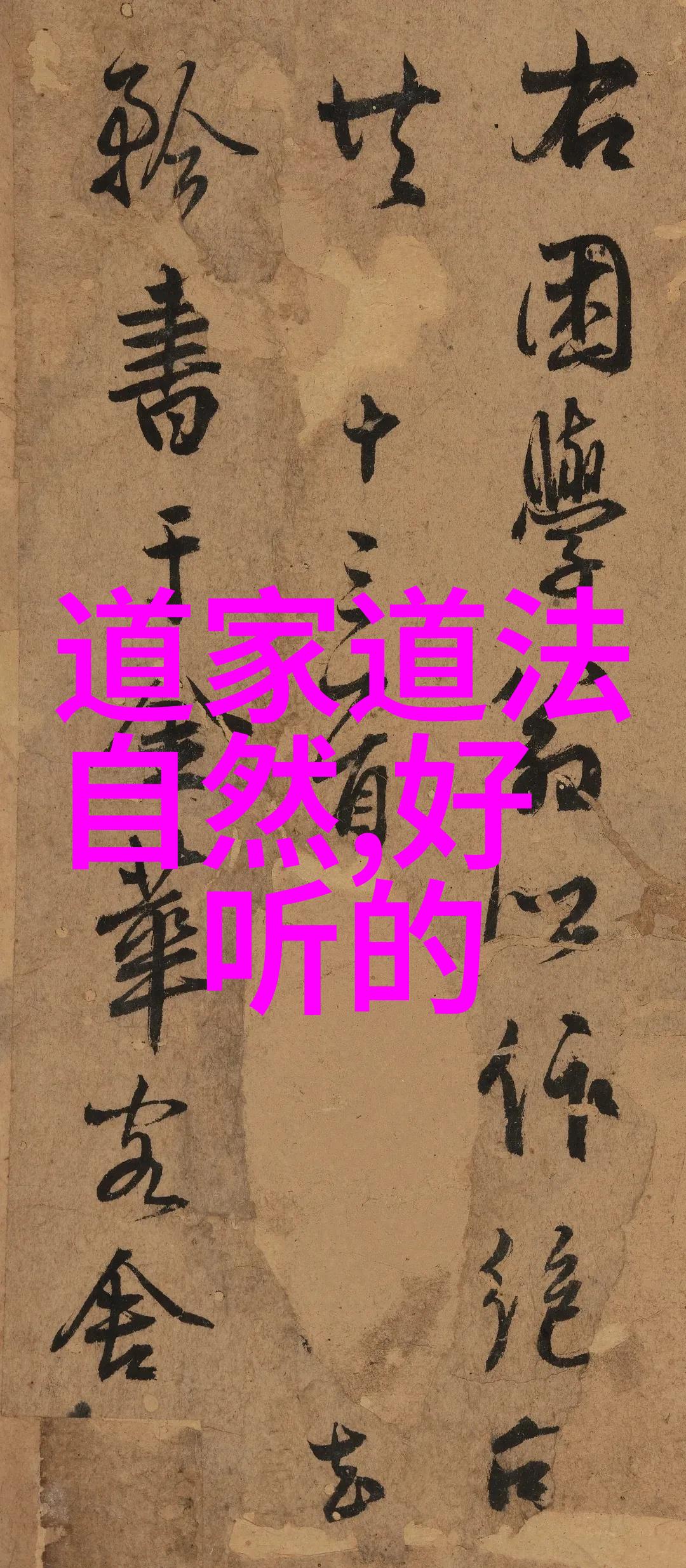 道家修炼的奥秘与实践