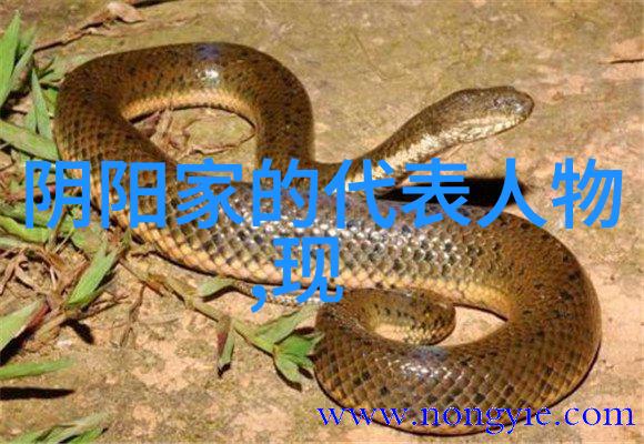 春风拂柳绿新妆溪水潺潺洗尘埃古诗词中有一首以此为题的名篇它不仅描绘了一个宁静的春日景象更透露出一种淡
