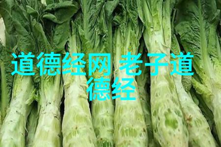 道家学派的代表人物是老子道教的创始人和主要思想家