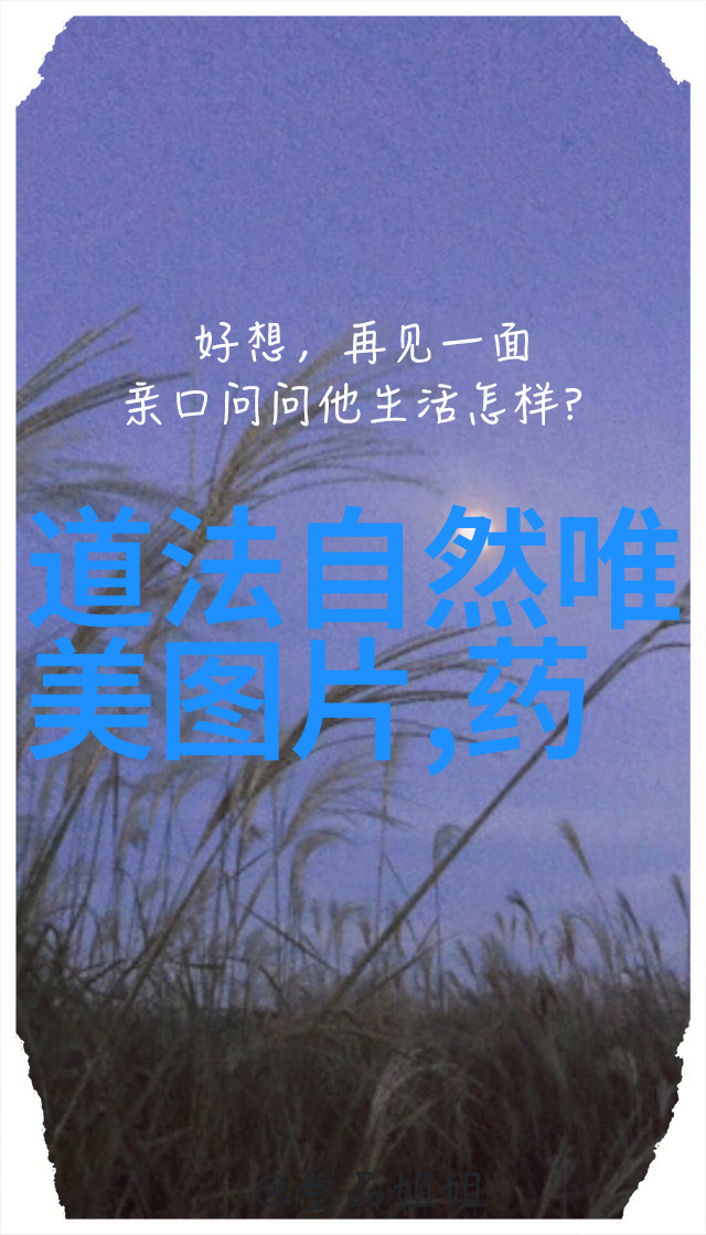 道家学派的重要代表作探索道家的智慧从老子到庄子的经典之旅
