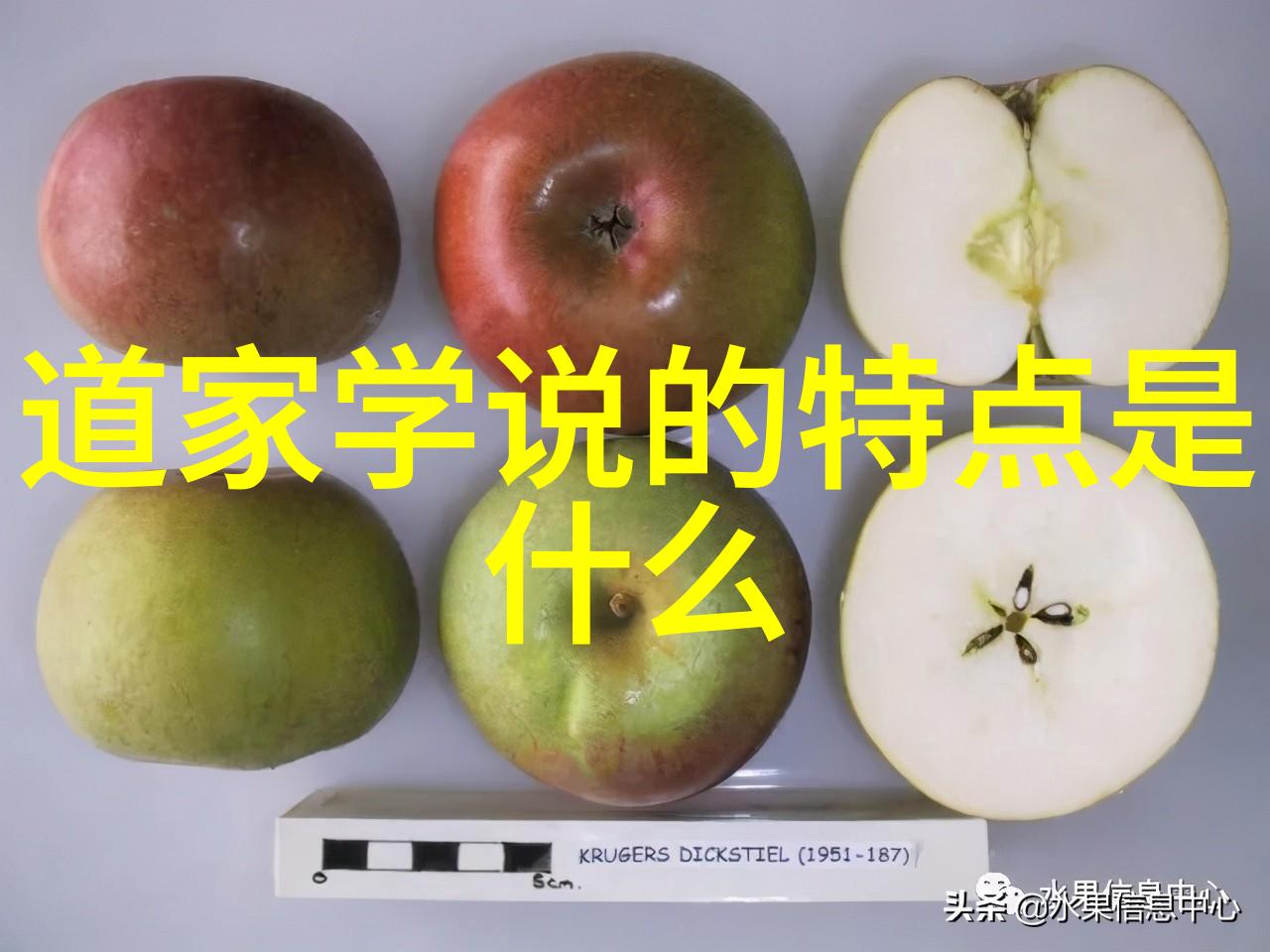 在现代社会保持无欲则刚的心态对个人发展有何益处