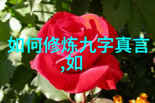 灵音法师山谷中的咒语