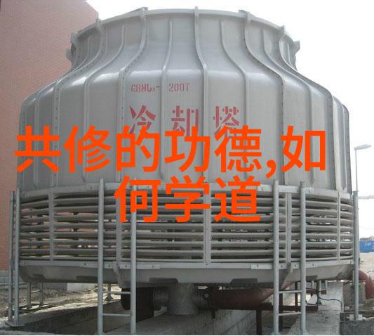 道教神秘智者探索中医文化的深度