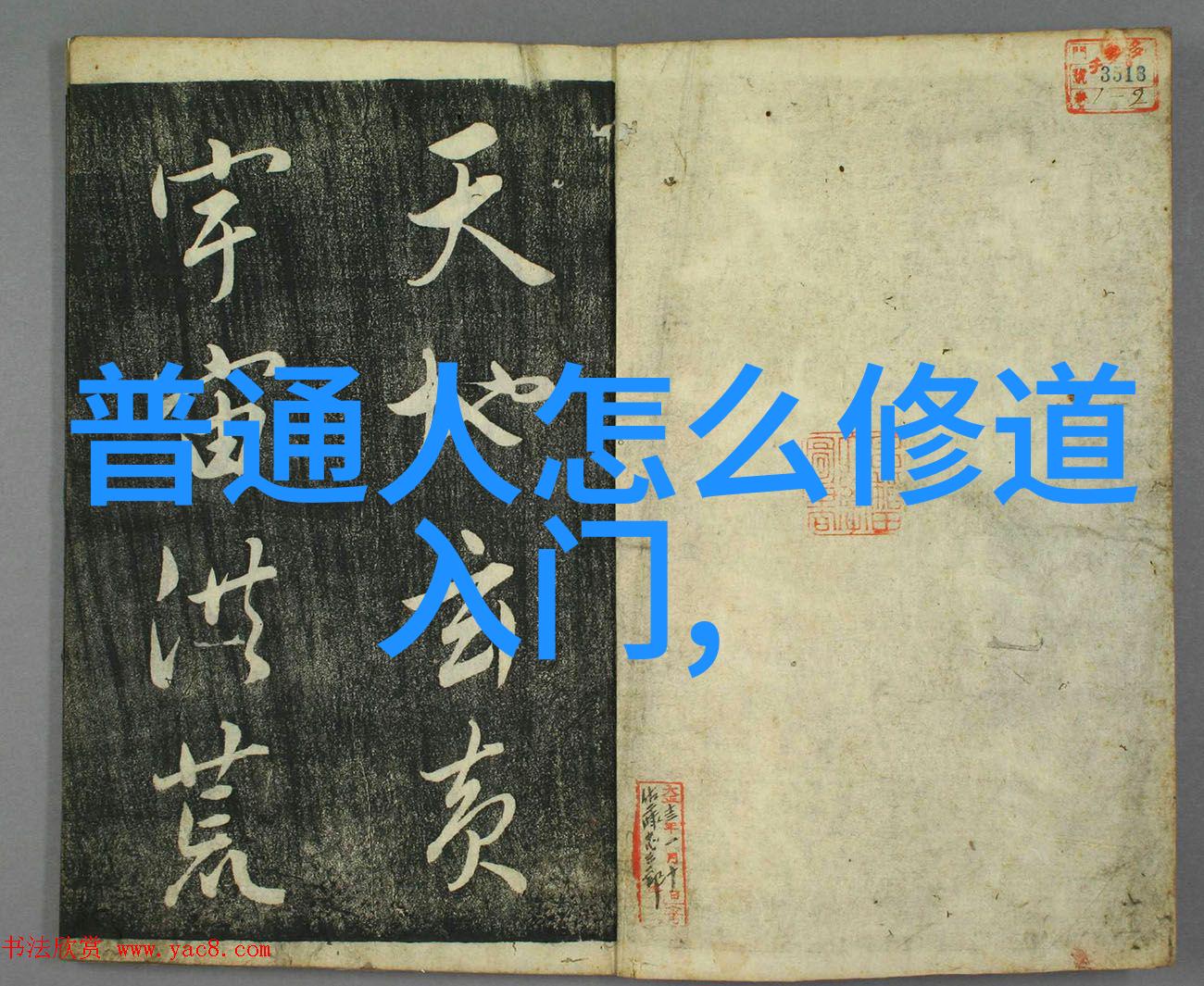 人生的巅峰灵魂的飞翔