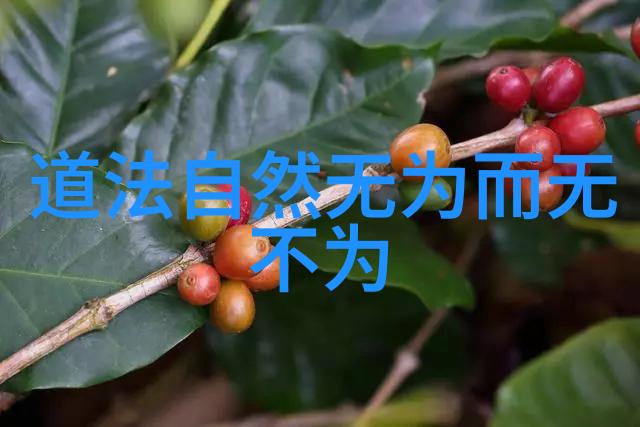 女人无欲则刚的人是什么心态-铁娘子的内心世界探索女性坚定与自我实现